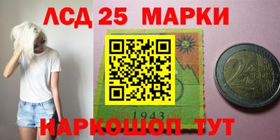 амф Бийск