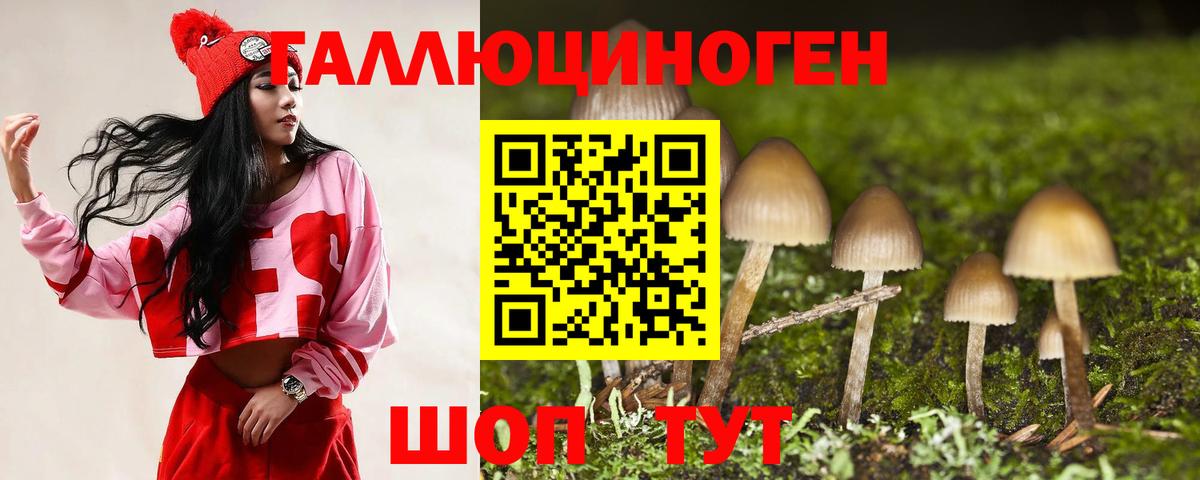 Камышин  Галлюциногенные грибы Cubensis  Вход с VPN 